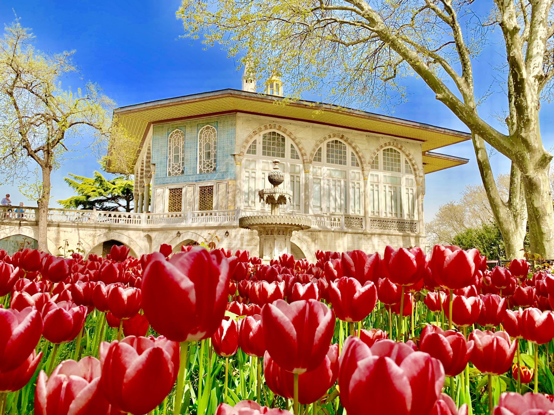 A pavilion of Topkapi Palace framed by bright red tulips under a clear blue Istanbul sky